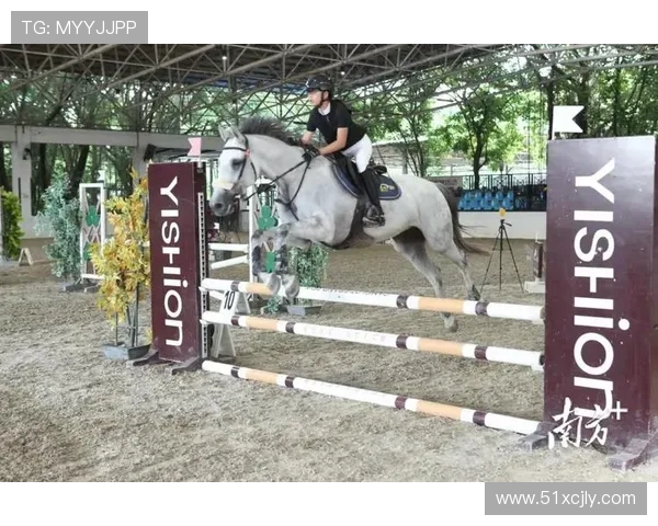 马术盛装舞步人马合一